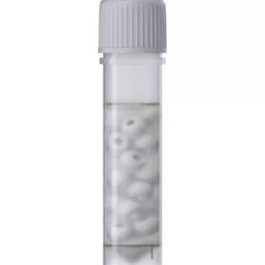 White MWE VIABANK™ Vial with bacterial storage beads